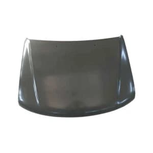 درب موتور آسنا