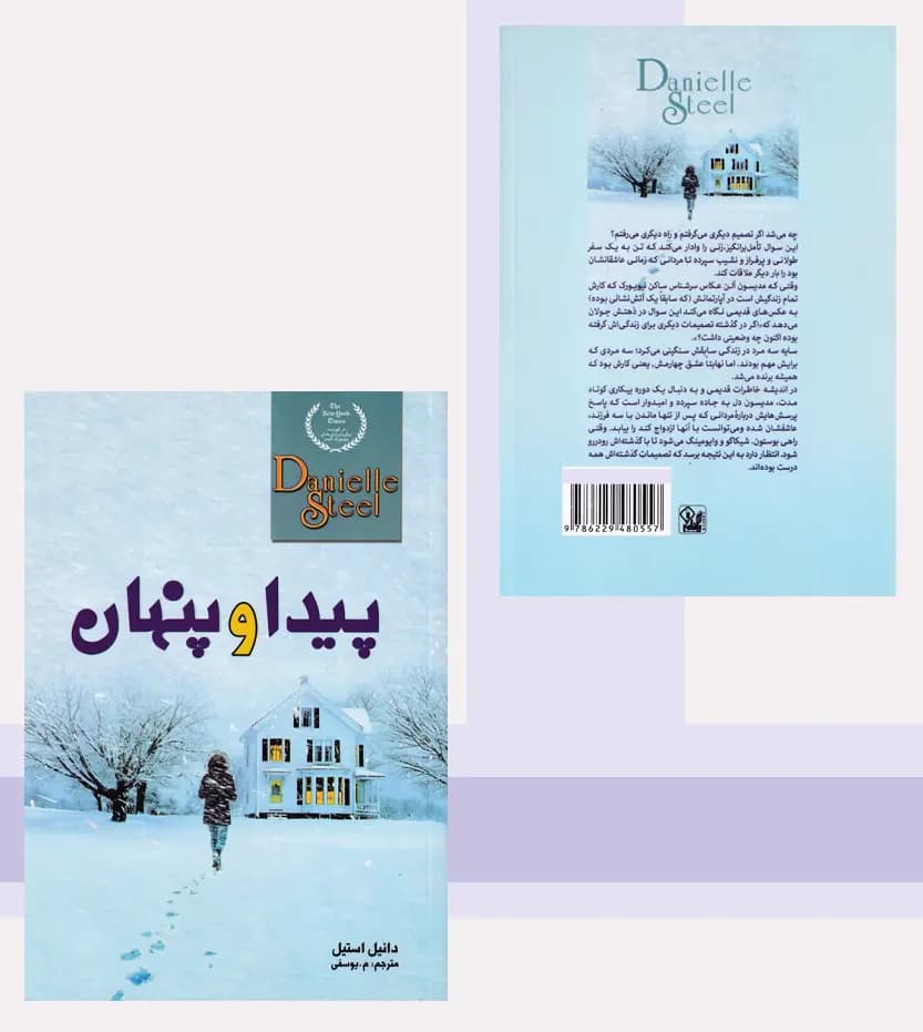 پیدا و پنهان اثر دانیل استیل — تصویر ۴