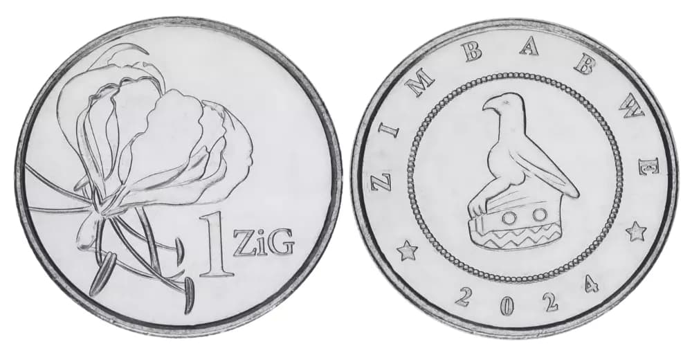 سکه کمیاب 1 زیگ زیمبابوه 2024 (UNC) — تصویر ۳