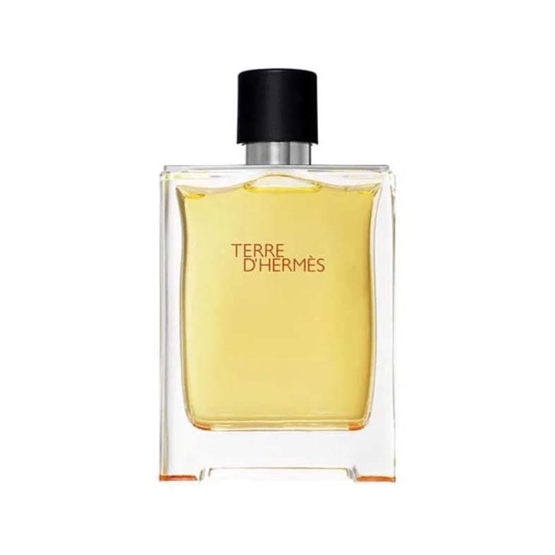 بادی اسپلش هرمس تق هرمس مردانه 250 میل | Hermes Terre d’Hermes for Men 250ml — تصویر ۲