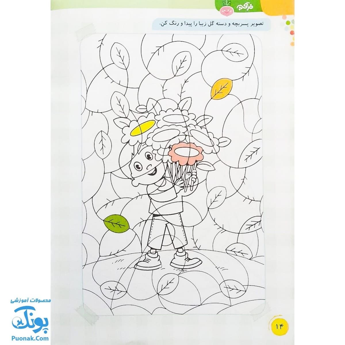 کتاب بگرد و پیدا کن تربچه — تصویر ۷