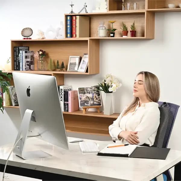 ماساژور پشتی و کمری گرین لاین مدل Green Lion Massage Cushion with Heating Function and Lumbar Support — تصویر ۴