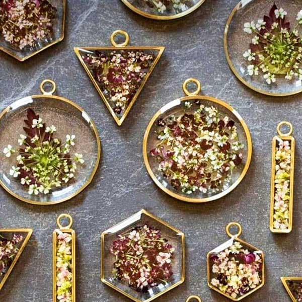 گل خشک شوکران چند رنگ بسته 8 عددی — تصویر ۶