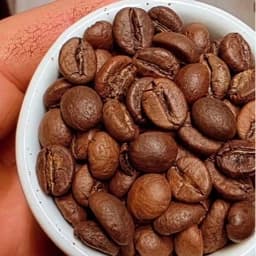 قهوه اسپرسو 80 روبوستا 20 عربیکا (500 گرم) — تصویر ۲
