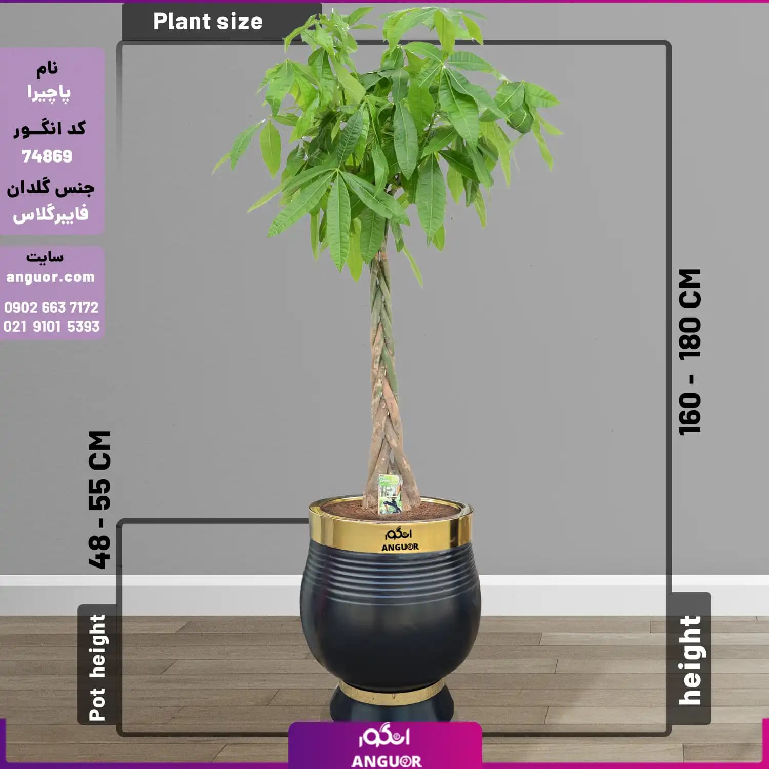 پاچیرا تنه بافت سایز بزرگ با گلدان فایبرگلاس لوکس VIP (decorative plants) — تصویر ۲
