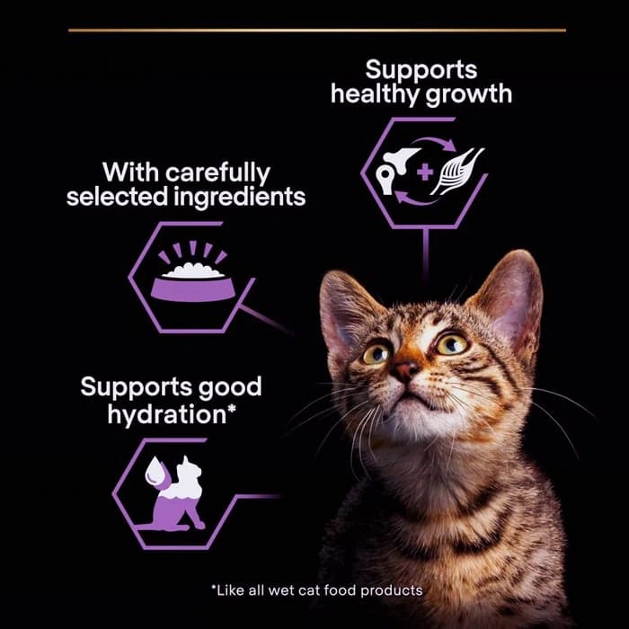 کنسرو بچه گربه پروپلن طعم مرغ مدل کیتن وزن 85 گرم ProPlan Kitten Healthy Start — تصویر ۵
