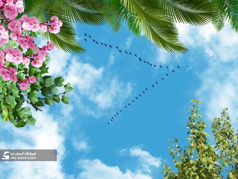 آسمان مجازی طرح اسمان و کوچ پرندگان