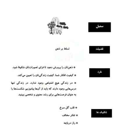 کتاب صوتی راهبی که فراری اش را فروخت اثر رابین اس شارما + کتاب فارسی و انگلیسی — تصویر ۷