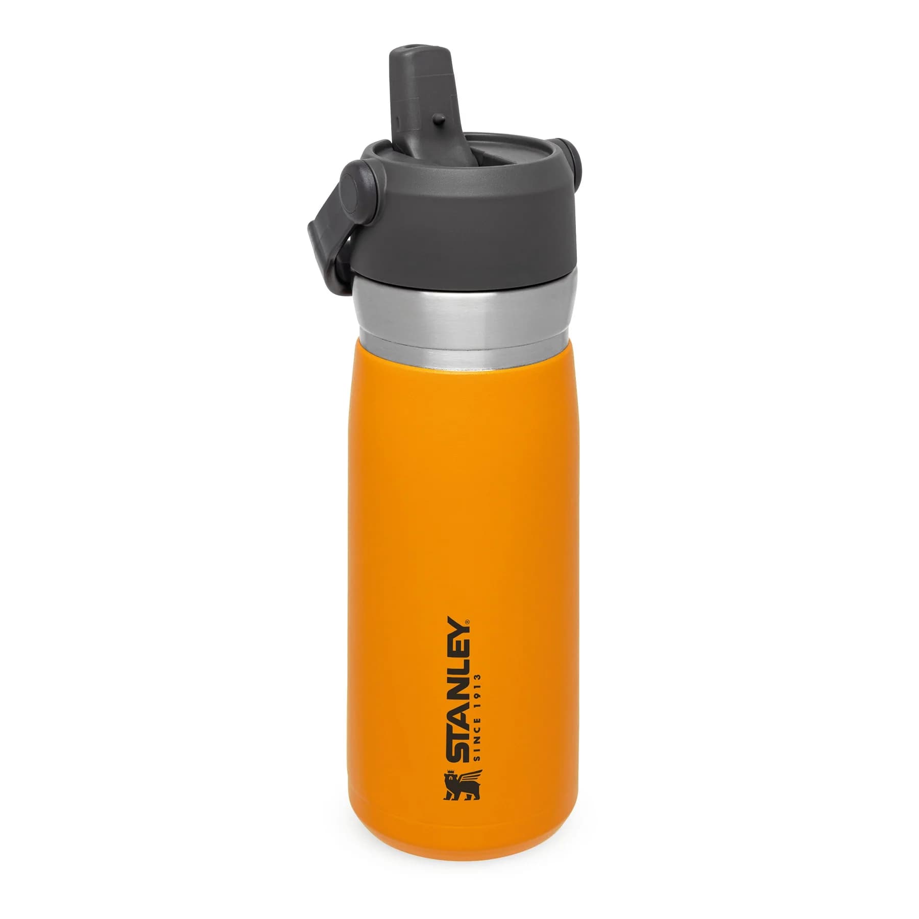 ماگ استنلی 0.65 لیتری سری گو STANLEY GO FLIP STRAW WATER BOTTLE | 22OZ