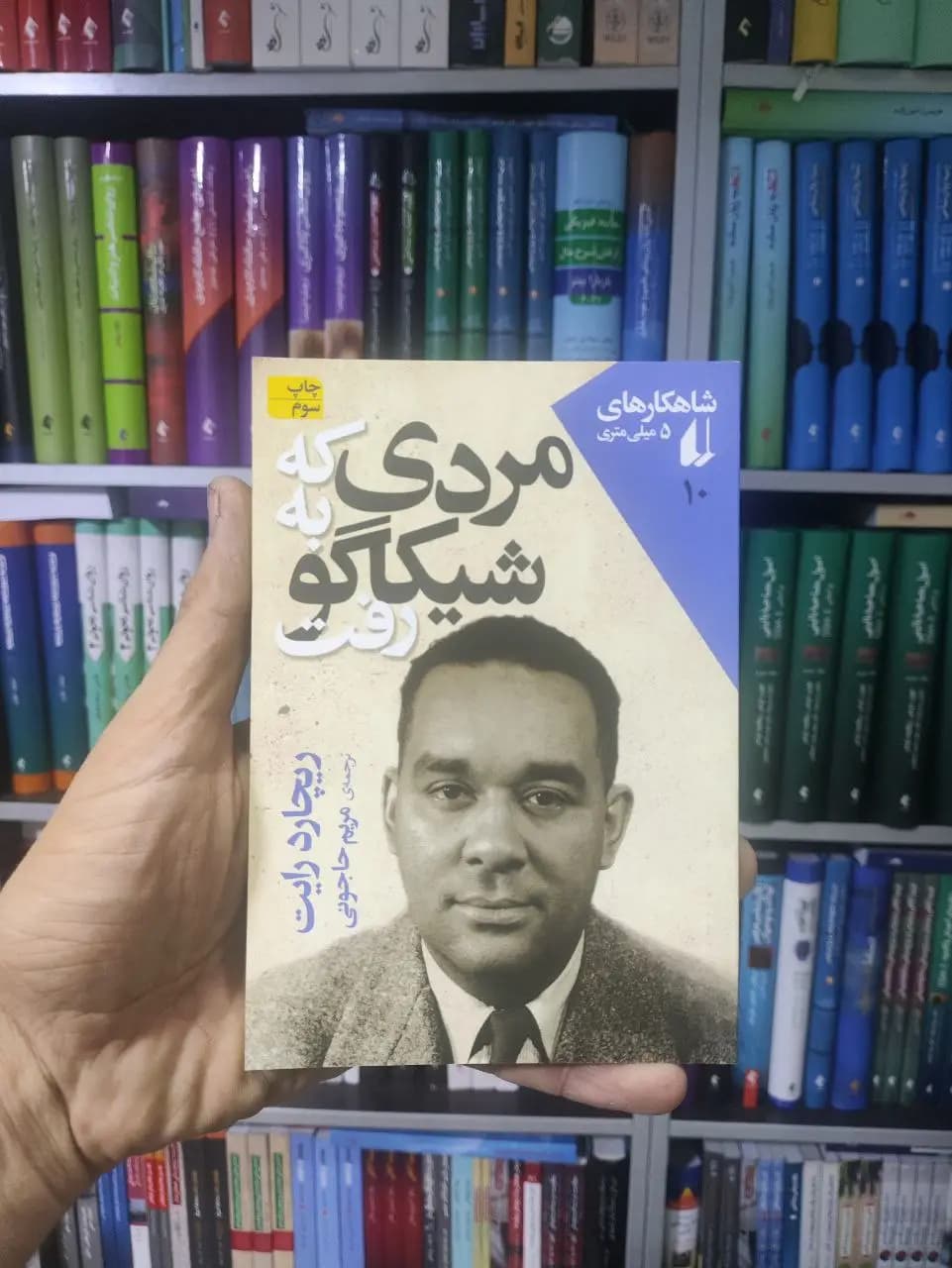 شاهکارهای 5 میلی متری 10 : مردی که به شیکاگو رفت افق