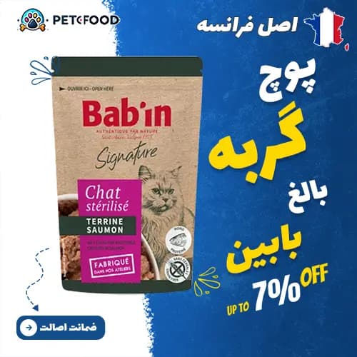 پوچ گربه بالغ بابین طعم ماهی سالمون 80 گرمی