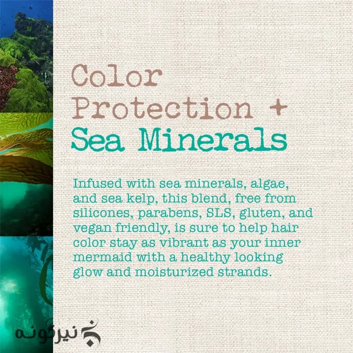 نرم کننده مواد معدنی دریایی مائویی آبرسان و تثبیت موهای رنگ شده | مدل Sea Minerals — تصویر ۴