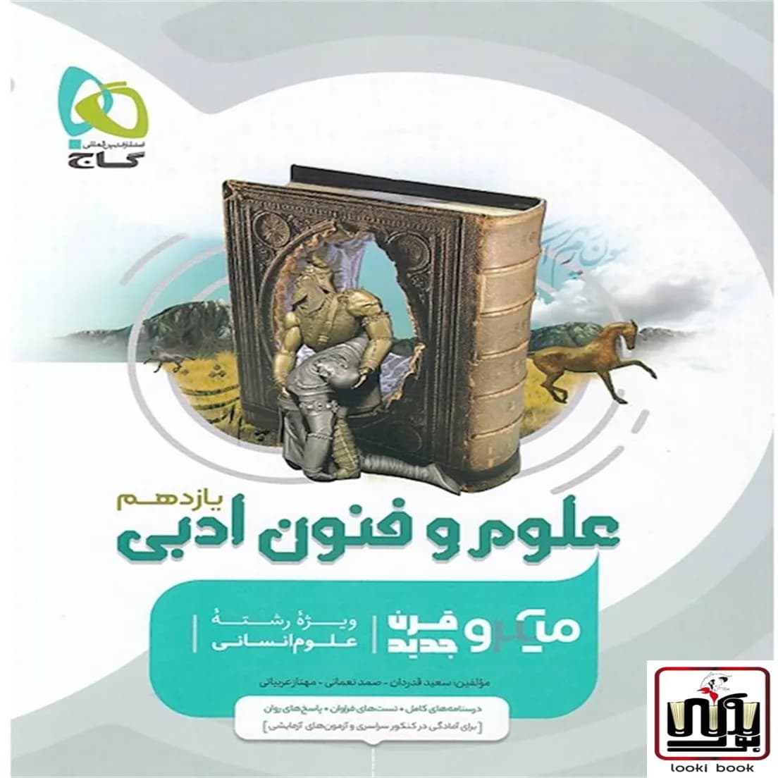 علوم و فنون ادبی یازدهم انسانی سری میکرو طبقه بندی گاج
