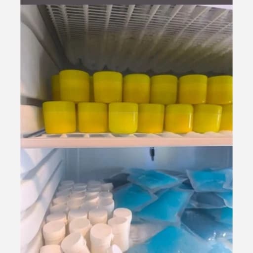 ژل رویال اصل ترکیب با عسل و گرده گل(پس کرایه)