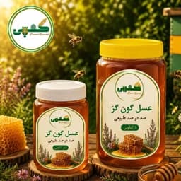 عسل گون گز یک کیلویی — تصویر ۲