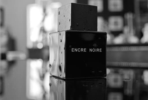 عطر ادکلن مردانه لالیک مشکی انکر نویر Lalique Encre Noire حجم ۱۰۰ میلی لیتر | Lalique Encre Noire Eau De Toilette For Men 100 ml — تصویر ۴