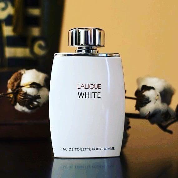 عطر ادکلن مردانه لالیک سفید-لالیک وایت Lalique White حجم ۱۲۵ میلی لیتر | Lalique White Eau De Toilette For Men 125 m — تصویر ۳