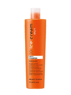 شامپو مو آیس کریم مدل Dry-t حجم ۳۰۰ میلی لیتر