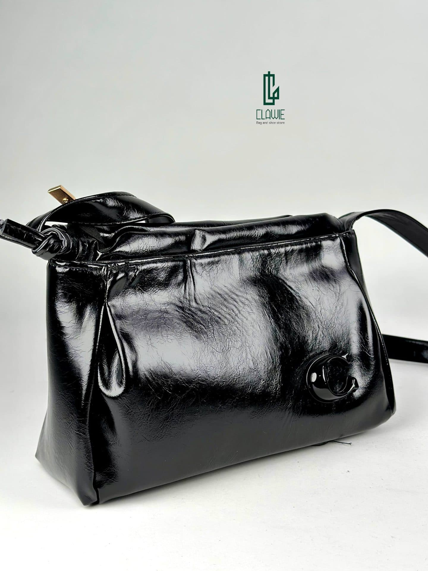 کیف پاسپورتی : COACH leather