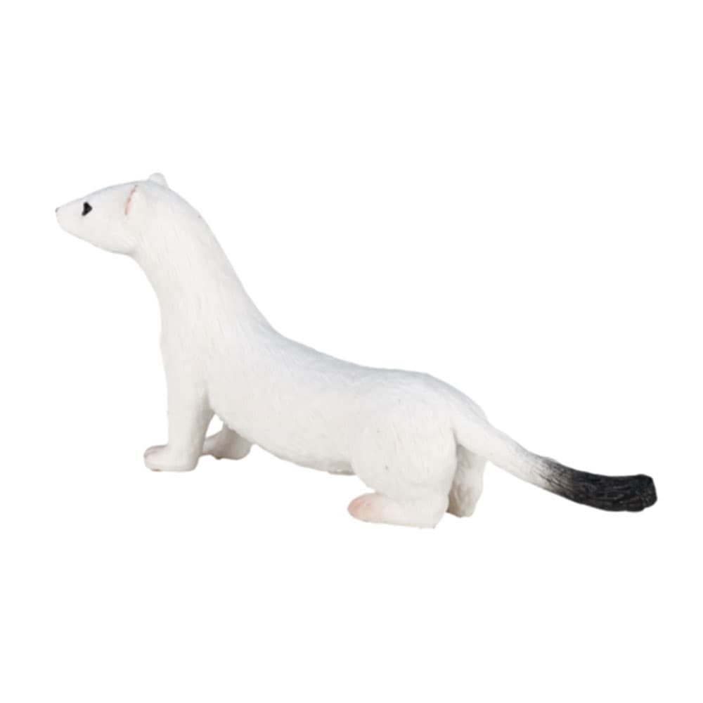 فیگور قاقم سفید کد: Ermine 387164 — تصویر ۳
