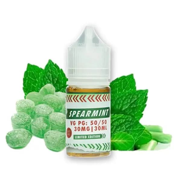 سالت آدامس نعنا دکتر ویپز | Dr.Vape SPEARMINT — تصویر ۲