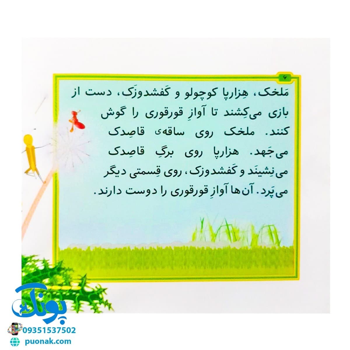 کتاب مجموعه قصه های بی بی رعنا همگام با کلاس اولی ها جلد ۸ قورقوری دیگر آواز نمی خواند (تقویت روان خوانی و املا) — تصویر ۴