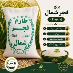 برنج فجر شمال اعلا (100 کیلویی) ارسال رایگان — تصویر ۲