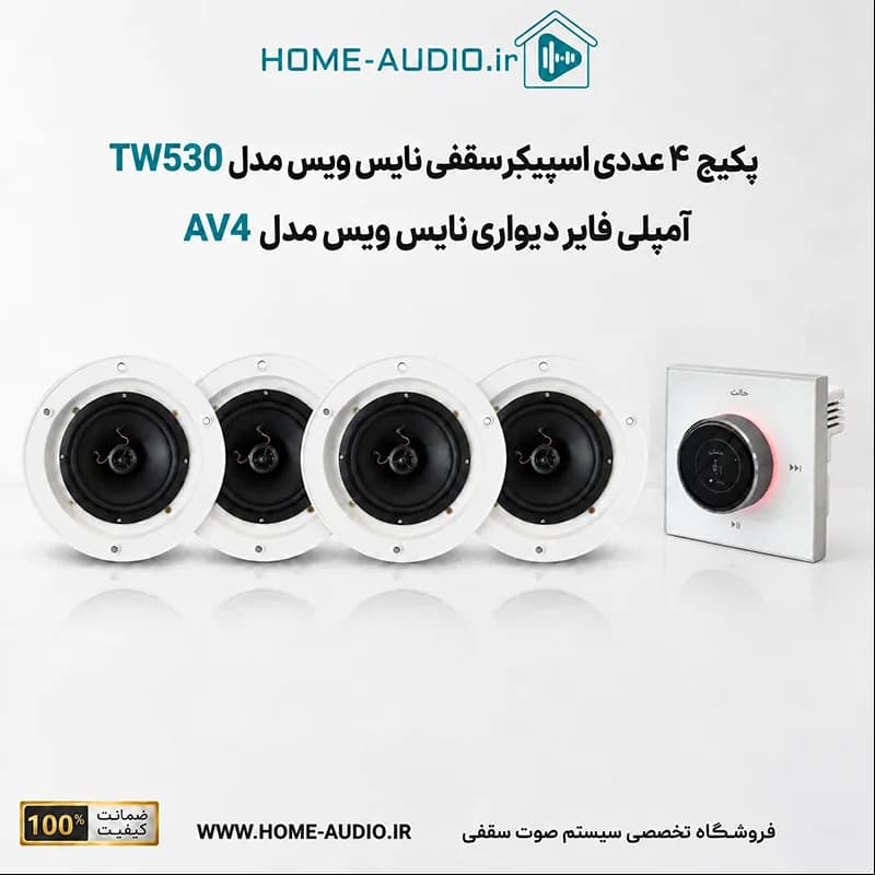 پکیج اسپیکر سقفی نایس ویس مدل TW530 به همراه آمپلی فایر AV4