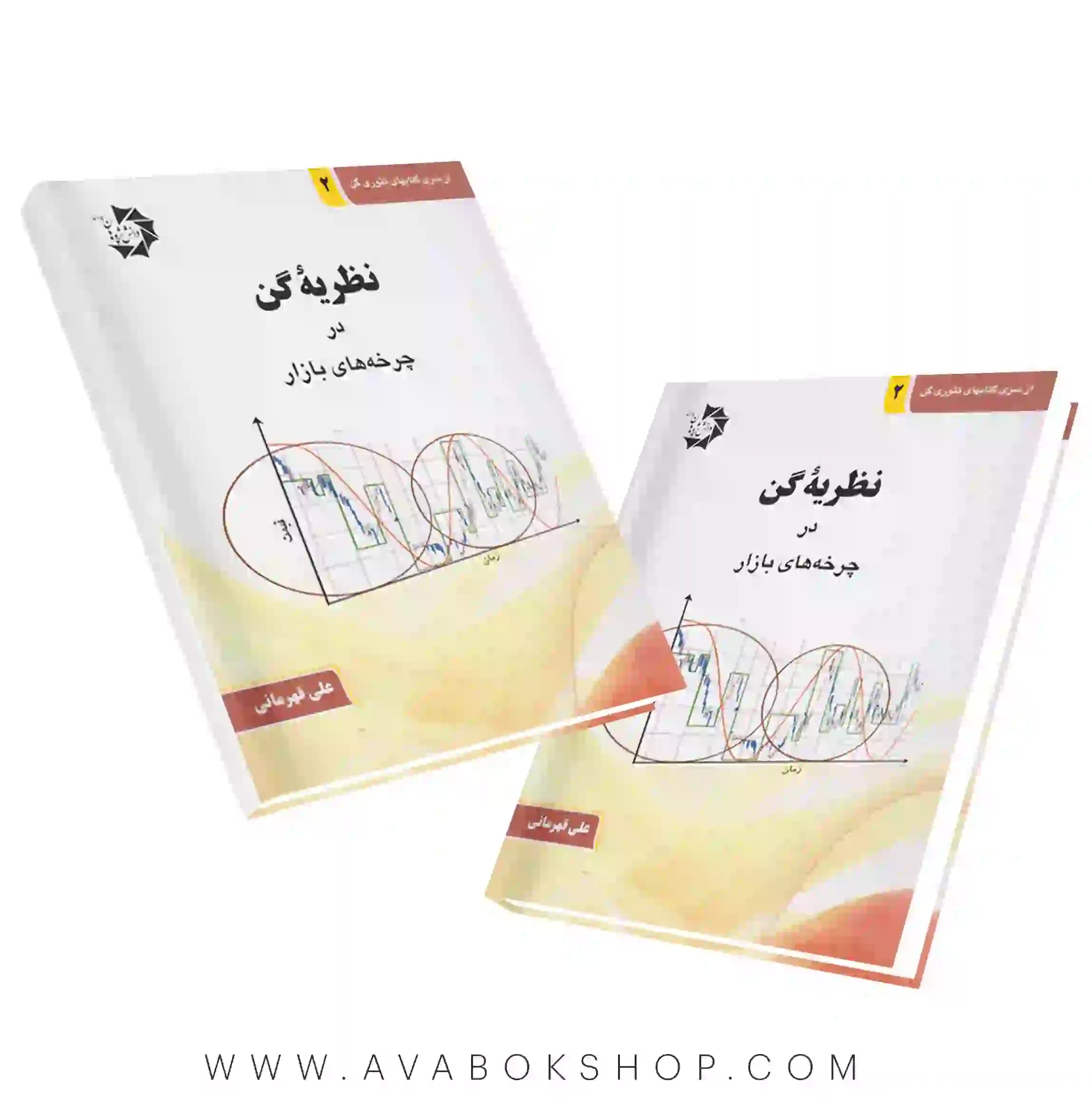 کتاب نظریه گن در چرخه های بازار دانش پژوهان جوان