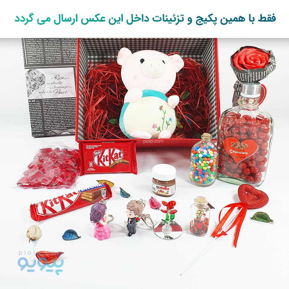 کادو بانمک ولنتاین با عروسک خوک گلدار — تصویر ۶