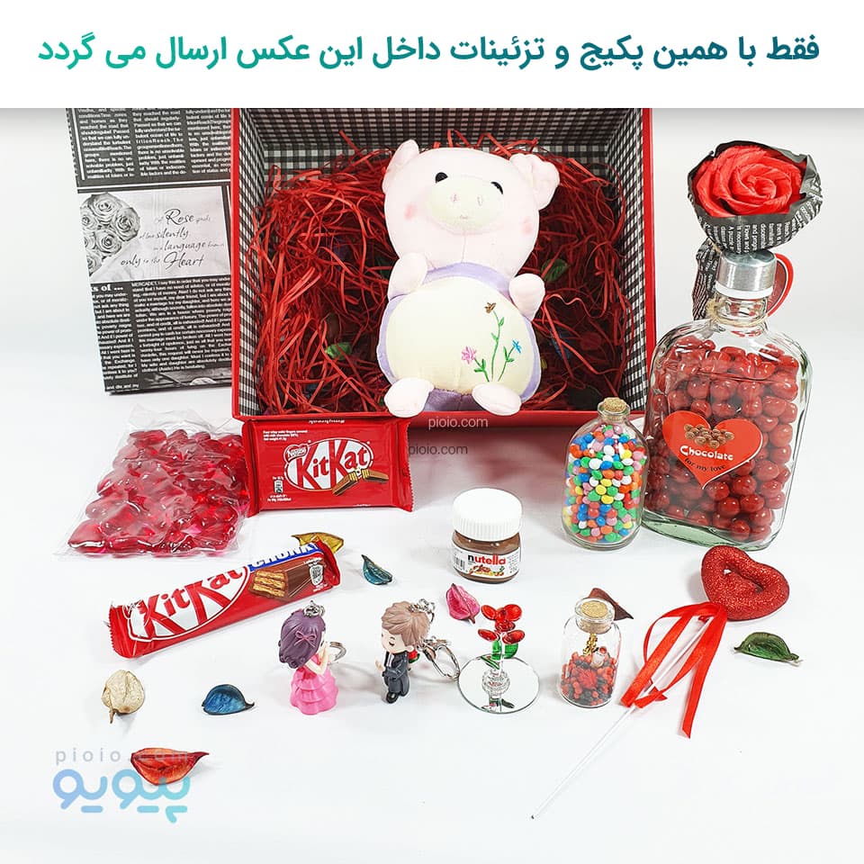 کادو بانمک ولنتاین با عروسک خوک گلدار — تصویر ۸