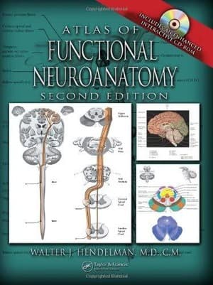 دانلود کتاب Atlas of Functional Neuroanatomy Second edition Walter Hendelman