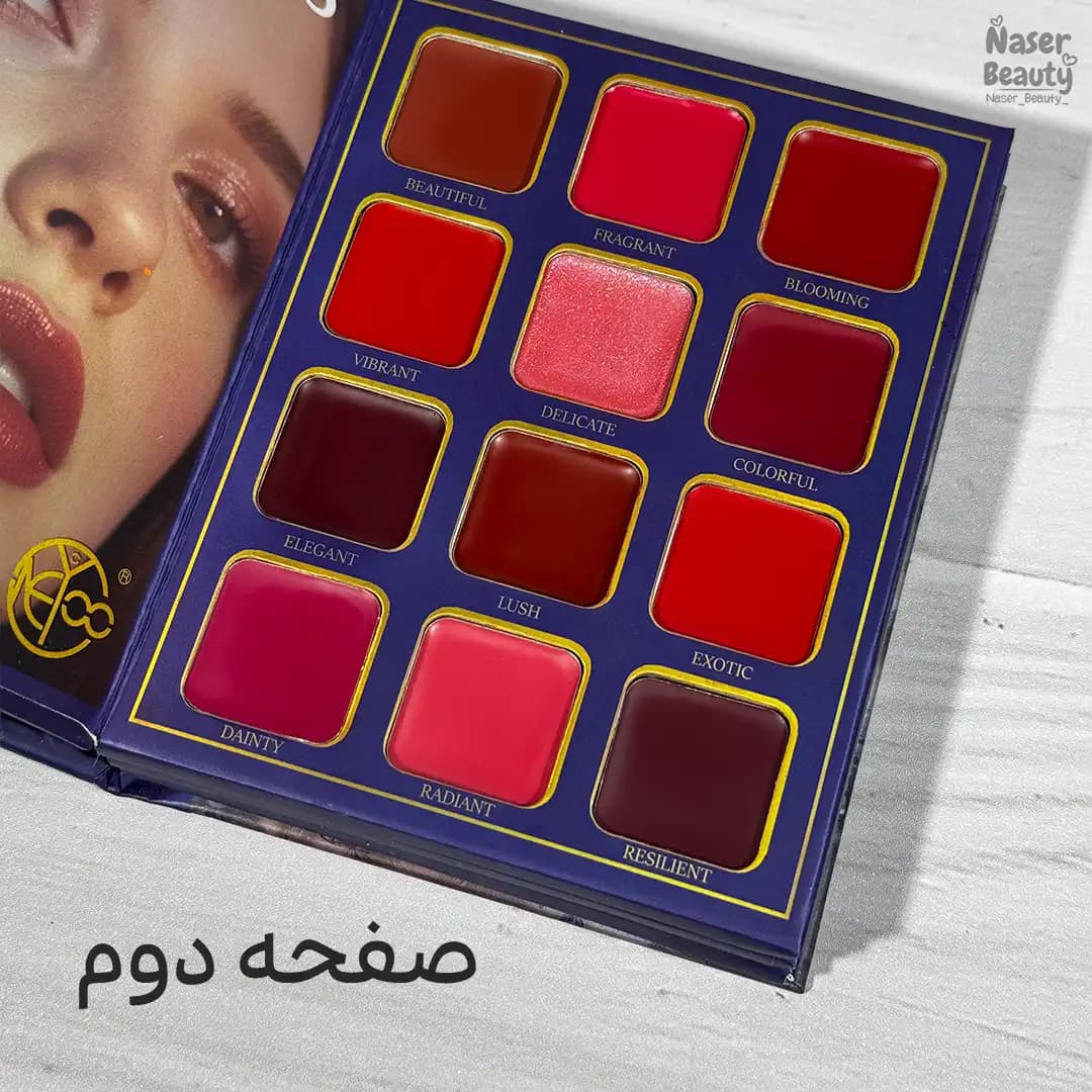 پالت 32 رنگ چند کاره کتابی طرح پروانه ONEYIOO | سایه رژ لب رژگونه — تصویر ۳