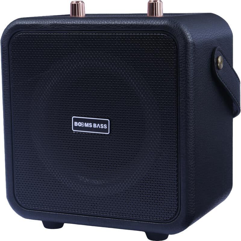 اسپیکر بلوتوثی Booms Bass M4101 Plus + میکروفون — تصویر ۶