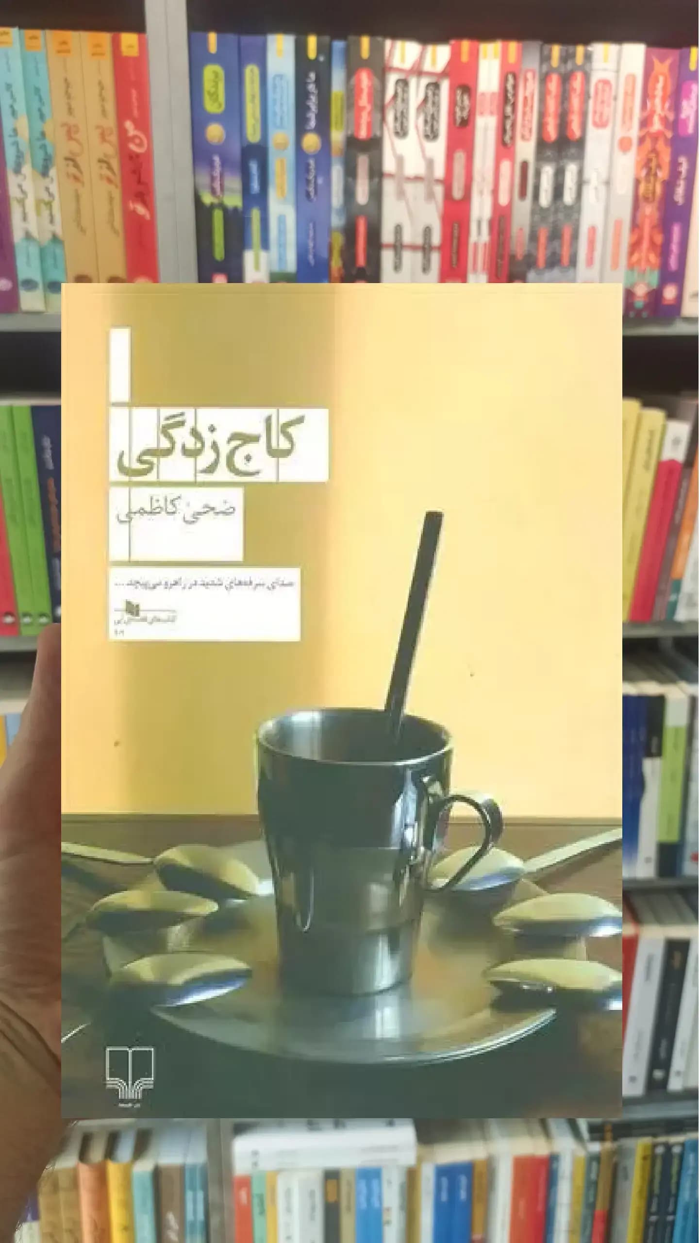 کاج زدگی چشمه