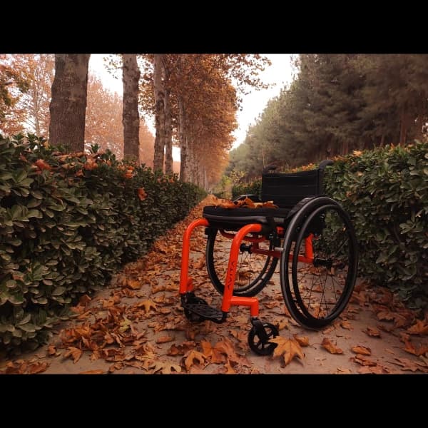 ویلچر آران — تصویر ۳