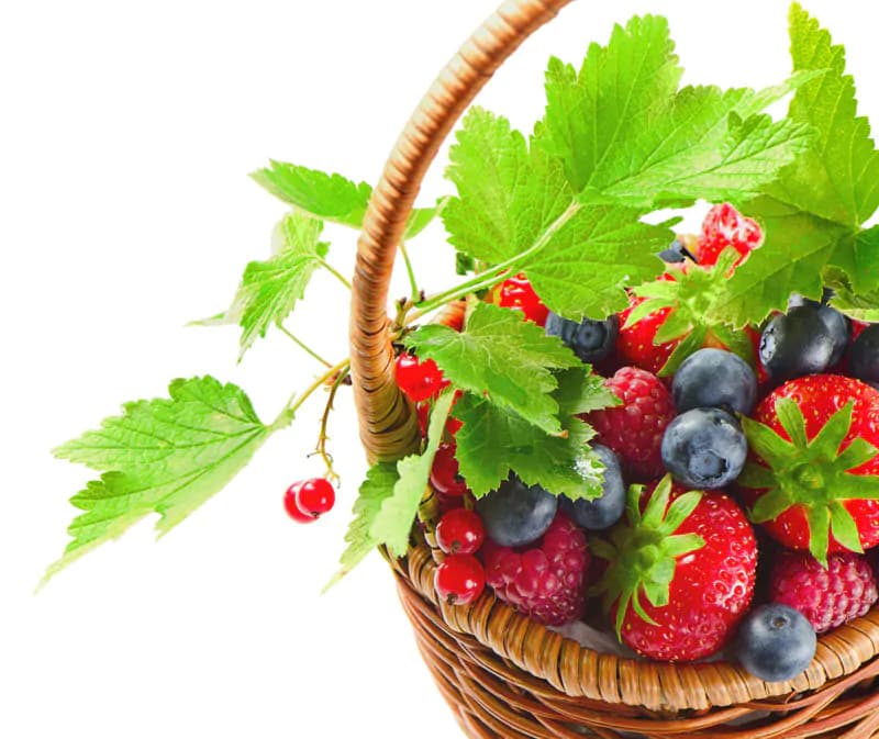 عکس استوک سبد میوه توت فرنگی و بلوبری