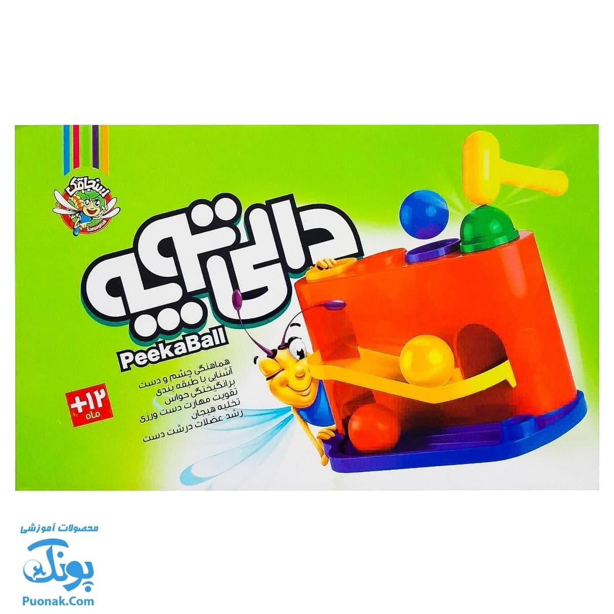 دالی توپه سنجاقک — تصویر ۴