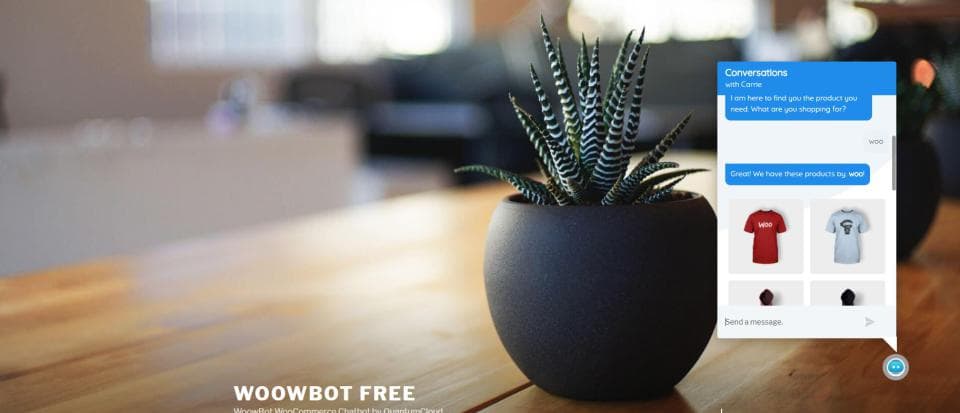 افزونه WoowBot Pro Max چت بات هوشمند ووکامرس ووبات 13.9.3 — تصویر ۵
