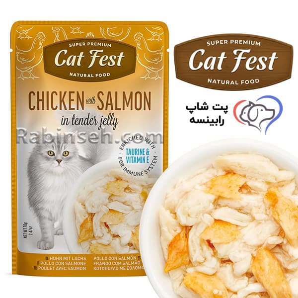 پوچ گربه کت فست مرغ و سالمون در ژله 70 گرم