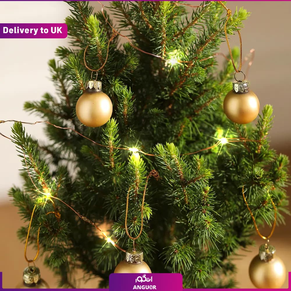 Festive Planter (تحویل در انگلستان) — تصویر ۴
