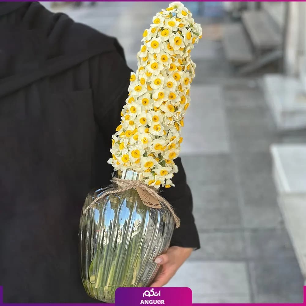جار گل نرگس 100 شاخه ای با گلدان