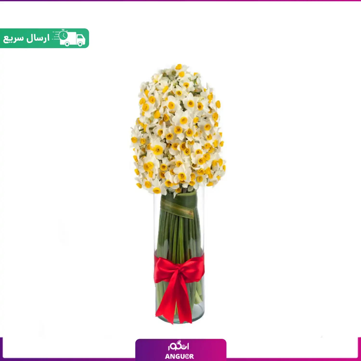 دسته گل نرگس 100 شاخه با گلدان