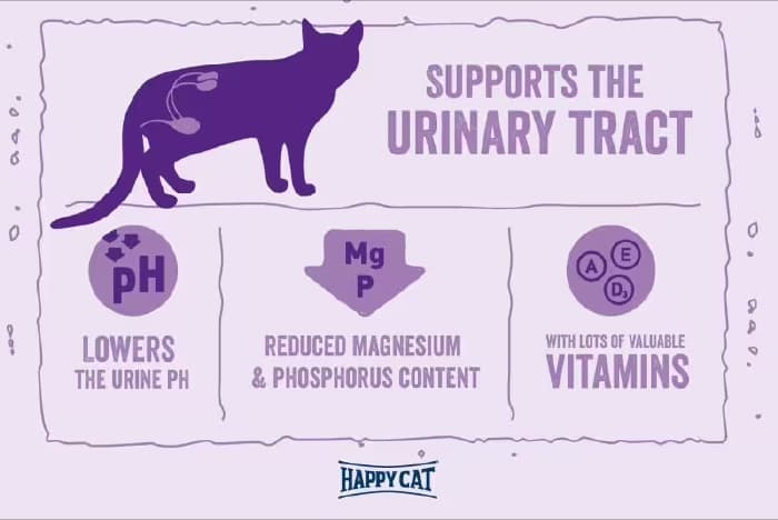 غذای خشک گربه بالغ هپی کت مینکاس یورینری طعم مرغ 1 کیلوگرم (زیپ کیپ فله ای) Happycat Minkas Urinary Care — تصویر ۳