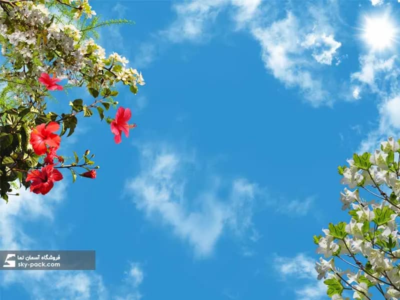 آسمان مجازی گل قرمز چینی و شکوفه های سفید — تصویر ۲