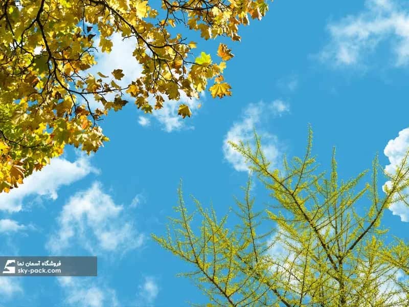آسمان مجازی طرح برگ های سبز