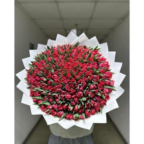 ارسال فوری گل برای باشگاه ورزشی شهرداری تهرانپارس 6959