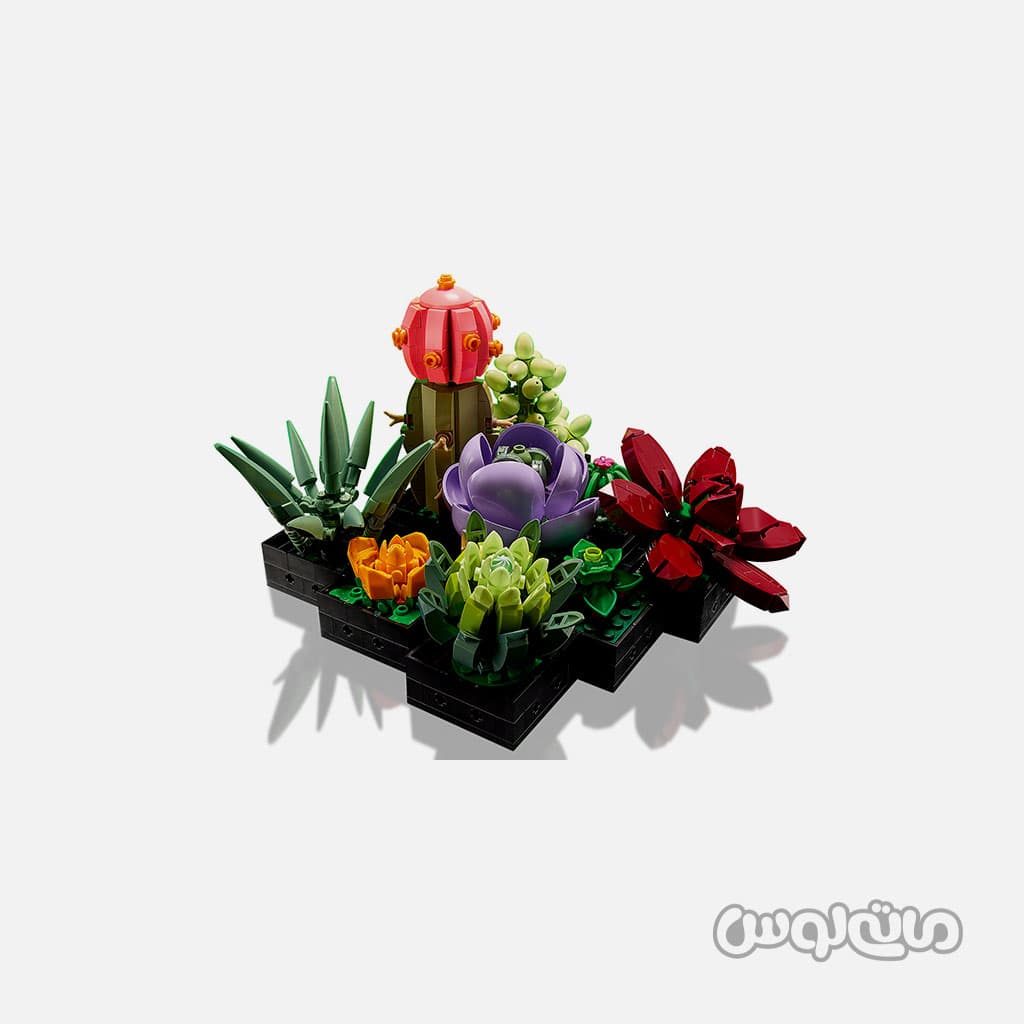 لگو گیاهان ساکولنت سری آیکونز — تصویر ۲