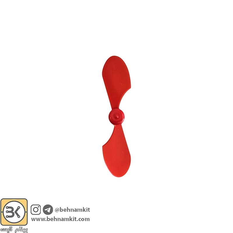ملخ پروازی دو پره بزرگ