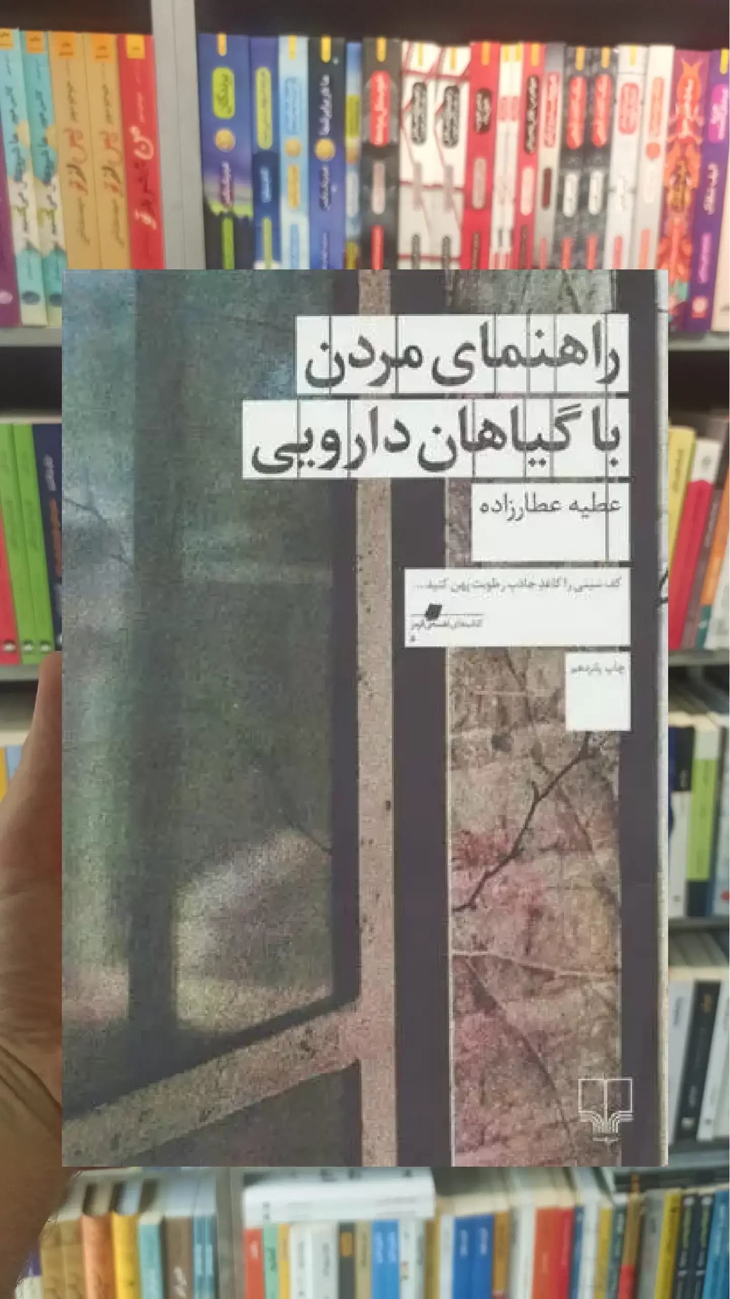 راهنمای مردن با گیاهان دارویی چشمه
